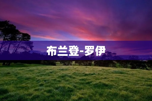 布兰登-罗伊:电竞行业的新贵 布兰登-罗伊:电竞行业的新贵