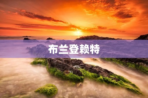 布兰登赖特：一位充满争议的美国右翼政治家