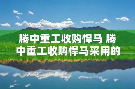 腾中重工收购悍马 腾中重工收购悍马采用的模式和特点 腾中重工收购悍马 腾中重工收购悍马采用的模式和特点