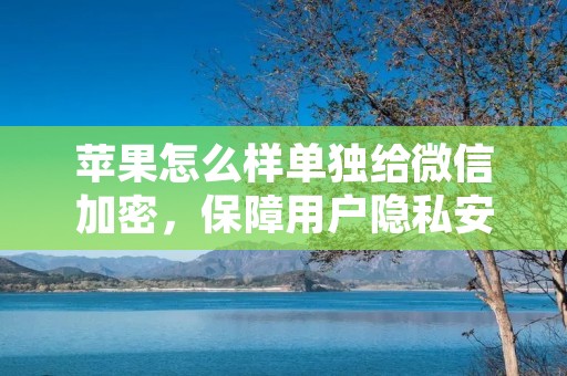 苹果怎么样单独给微信加密,保障用户隐私安全