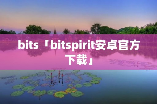 bits「bitspirit安卓官方下载」 bits「bitspirit安卓官方下载」