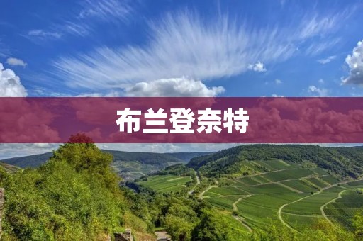 布兰登奈特：一位颠覆传统的电影导演
