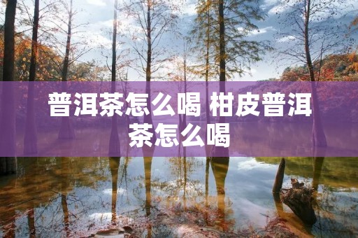 普洱茶怎么喝 柑皮普洱茶怎么喝