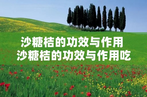 沙糖桔的功效与作用 沙糖桔的功效与作用吃法