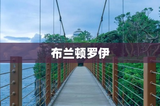 布兰顿罗伊:探寻音乐与梦想的奇妙旅程 布兰顿罗伊:探寻音乐与梦想的奇妙旅程