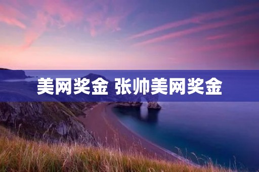 美网奖金 张帅美网奖金