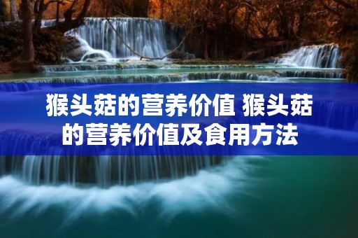 猴头菇的营养价值 猴头菇的营养价值及食用方法