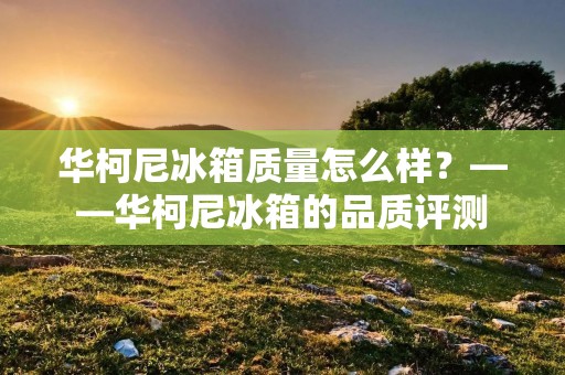华柯尼冰箱质量怎么样?——华柯尼冰箱的品质评测 华柯尼冰箱质量怎么样?——华柯尼冰箱的品质评测