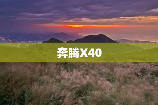 奔腾X40:一款不可忽视的小型SUV 奔腾X40:一款不可忽视的小型SUV