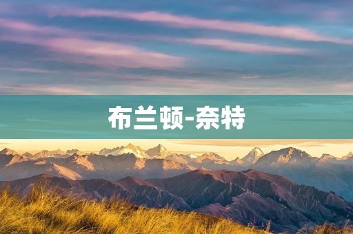 布兰顿-奈特:从“冰球王子”到“大帝” 布兰顿-奈特:从“冰球王子”到“大帝”