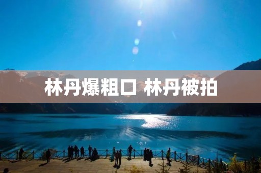 林丹爆粗口 林丹被拍