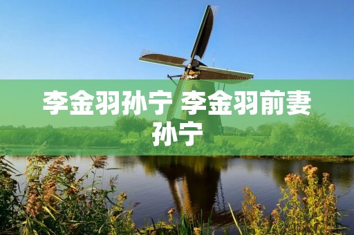 李金羽孙宁 李金羽前妻孙宁