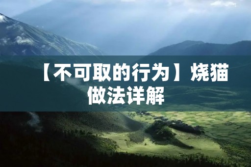 【不可取的行为】烧猫做法详解 【不可取的行为】烧猫做法详解