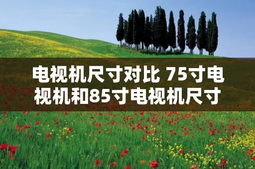 电视机尺寸对比 75寸电视机和85寸电视机尺寸对比
