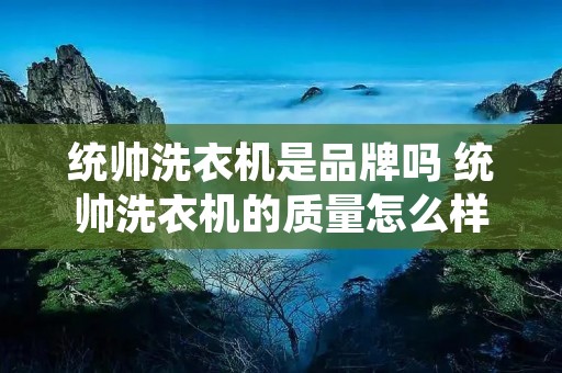 统帅洗衣机是品牌吗 统帅洗衣机的质量怎么样