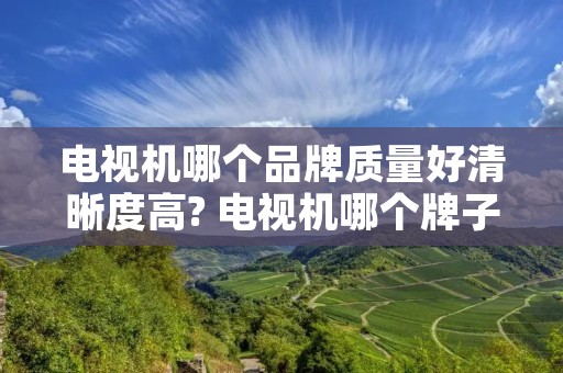 电视机哪个品牌质量好清晰度高? 电视机哪个牌子清晰度比较高 电视机哪个品牌质量好清晰度高? 电视机哪个牌子清晰度比较高