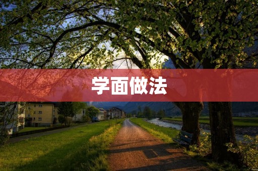 学面做法:一种简单易学的中式烹饪技巧 学面做法:一种简单易学的中式烹饪技巧