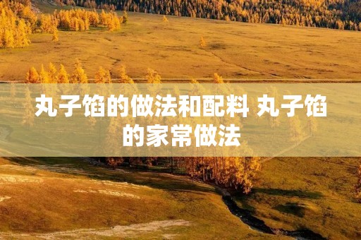 丸子馅的做法和配料 丸子馅的家常做法