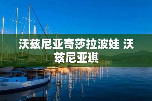 沃兹尼亚奇莎拉波娃 沃兹尼亚琪
