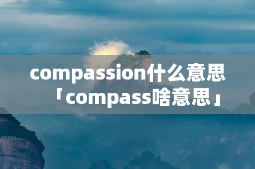 compassion什么意思「compass啥意思」
