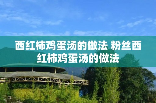 西红柿鸡蛋汤的做法 粉丝西红柿鸡蛋汤的做法