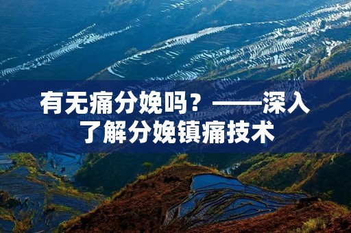 有无痛分娩吗?——深入了解分娩镇痛技术