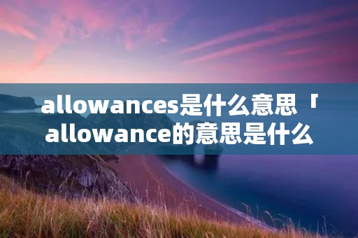 allowances是什么意思「allowance的意思是什么」