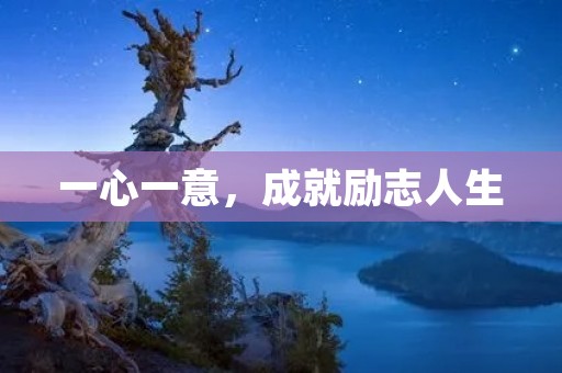 一心一意,成就励志人生 一心一意,成就励志人生