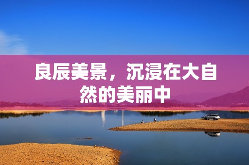 良辰美景,沉浸在大自然的美丽中