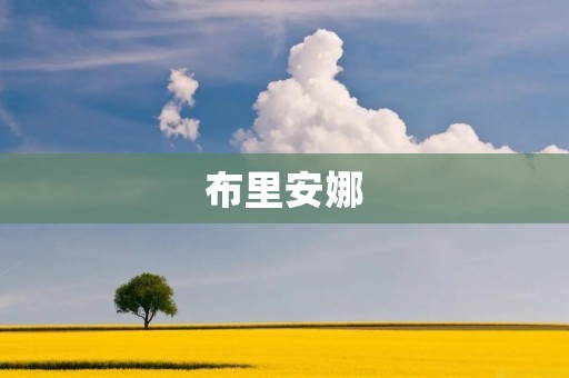 布里安娜：一个充满活力与创造力的女孩