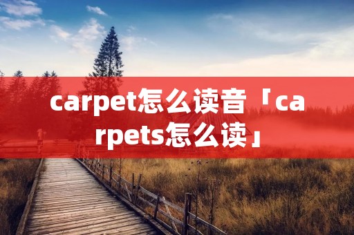 carpet怎么读音「carpets怎么读」