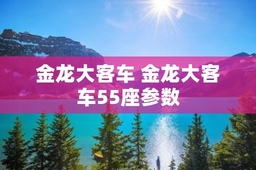 金龙大客车 金龙大客车55座参数 金龙大客车 金龙大客车55座参数