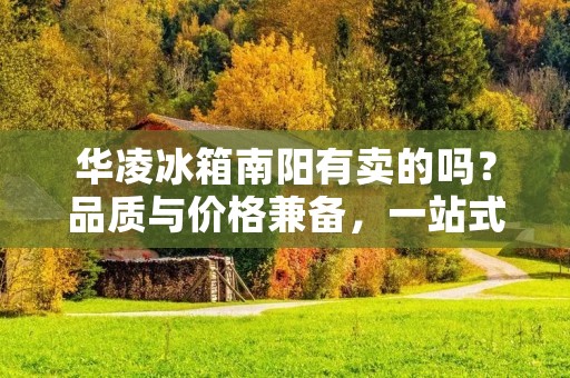 华凌冰箱南阳有卖的吗？品质与价格兼备，一站式购物无忧！