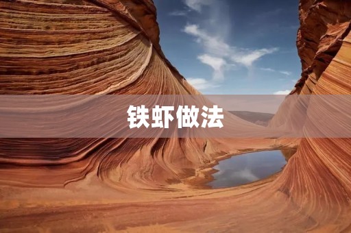 铁虾做法：让你在家也能吃到餐厅级别的美味