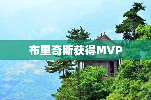 布里奇斯获得MVP:NBA历史上最具争议的MVP之一 布里奇斯获得MVP:NBA历史上最具争议的MVP之一