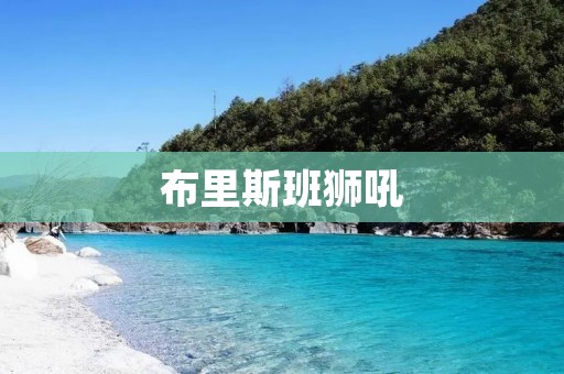 布里斯班狮吼:澳洲本土文化的代表 布里斯班狮吼:澳洲本土文化的代表
