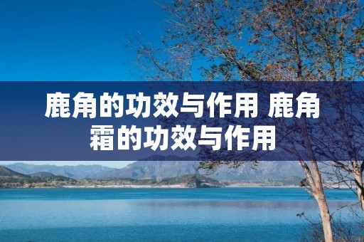 鹿角的功效与作用 鹿角霜的功效与作用