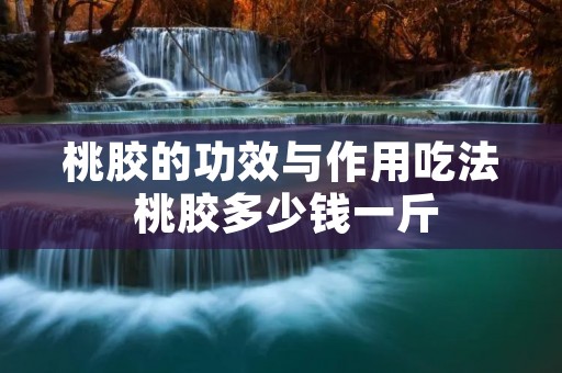 桃胶的功效与作用吃法 桃胶多少钱一斤