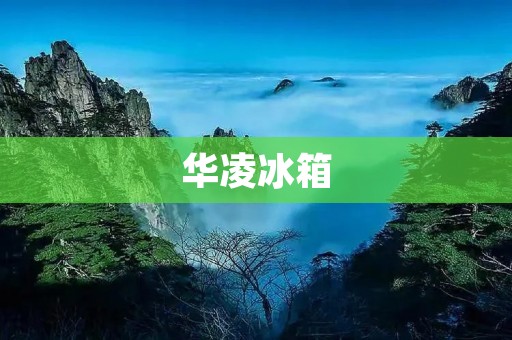 华凌冰箱:来自国内领先制造商的高品质家电 华凌冰箱:来自国内领先制造商的高品质家电