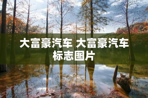 大富豪汽车 大富豪汽车标志图片 大富豪汽车 大富豪汽车标志图片