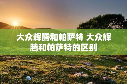 大众辉腾和帕萨特 大众辉腾和帕萨特的区别