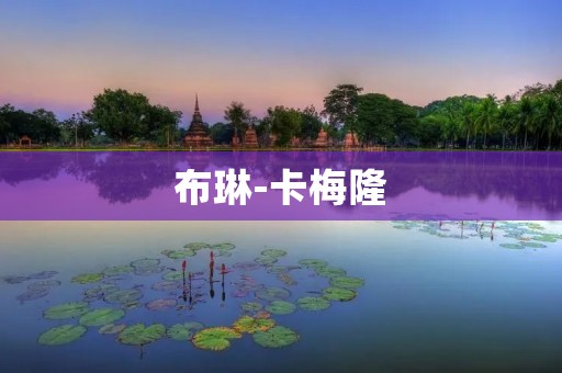 布琳-卡梅隆：电影史上的女性巨匠