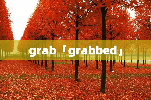 grab「grabbed」 grab「grabbed」