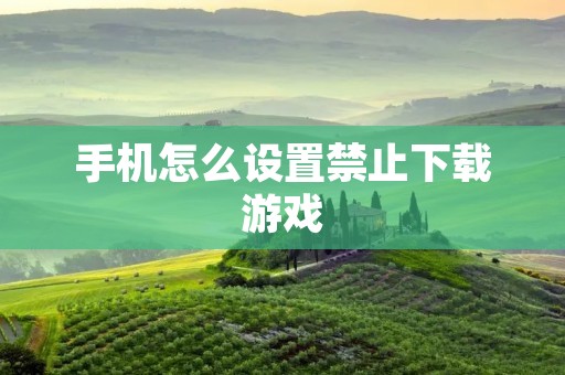 手机怎么设置禁止下载游戏