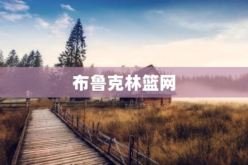 布鲁克林篮网：一个崛起的超级球队