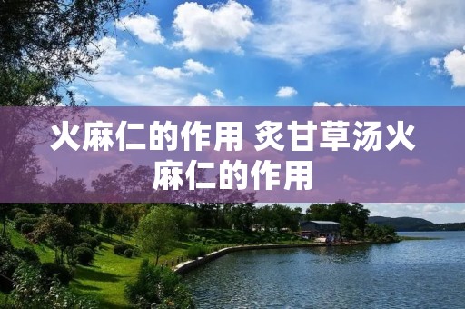 火麻仁的作用 炙甘草汤火麻仁的作用
