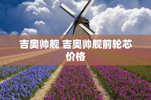 吉奥帅舰 吉奥帅舰前轮芯价格