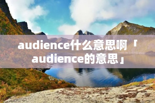 audience什么意思啊「audience的意思」