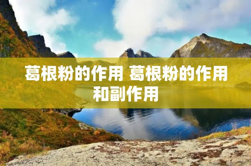 葛根粉的作用 葛根粉的作用和副作用