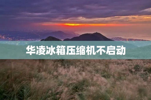 华凌冰箱压缩机不启动:原因和解决方案 华凌冰箱压缩机不启动:原因和解决方案
